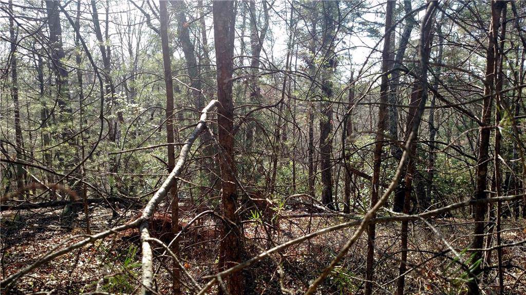 531 Mountain Trace - Photo 1