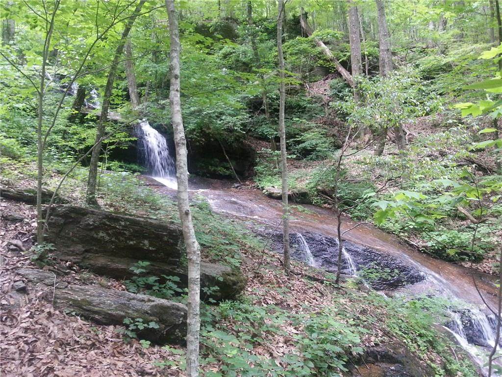 4494 Denny Ridge Road - Photo 1