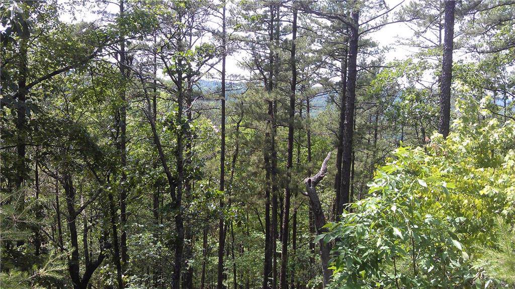 16 Signal Mountain - Photo 1