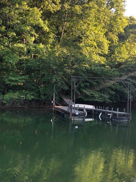 Lot 3 Chestatee View Drive - Photo 1