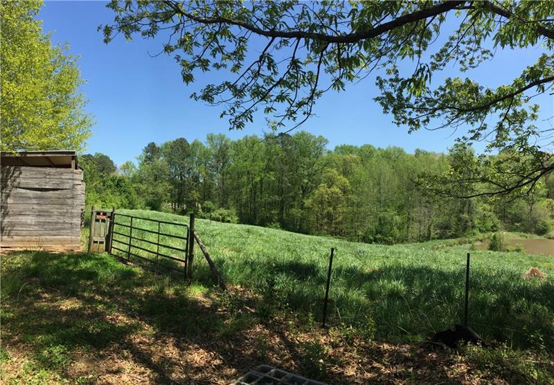 735 Dock Lathem Trail - Photo 1