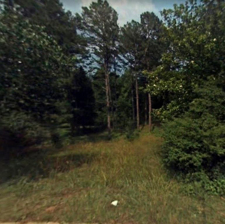 0 Laurel Drive - Photo 1