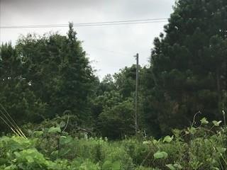 5155 Burruss Road - Photo 1
