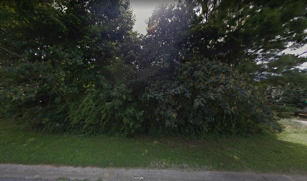 0 Thrasher Road - Photo 1