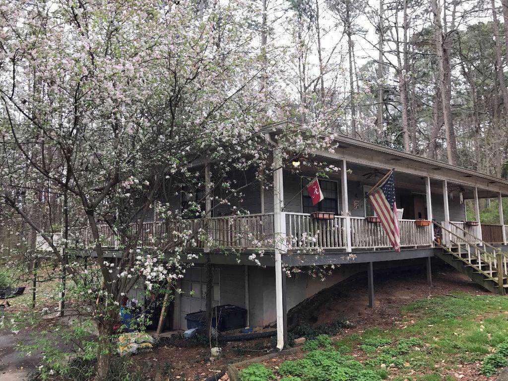 8445 Cedar Grove Road - Photo 1