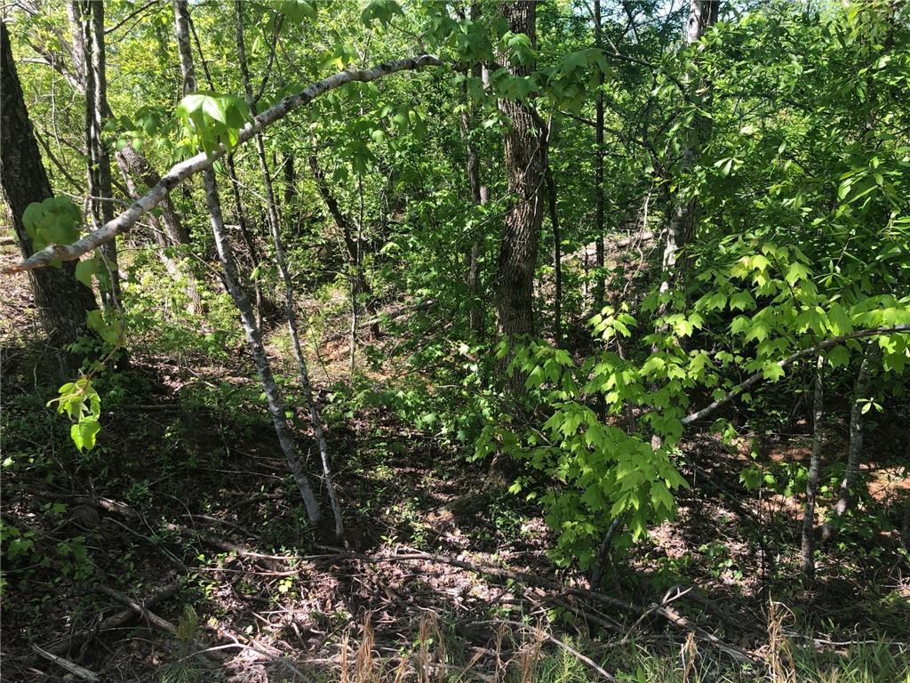 0 Oliver Bridge Road - Photo 1