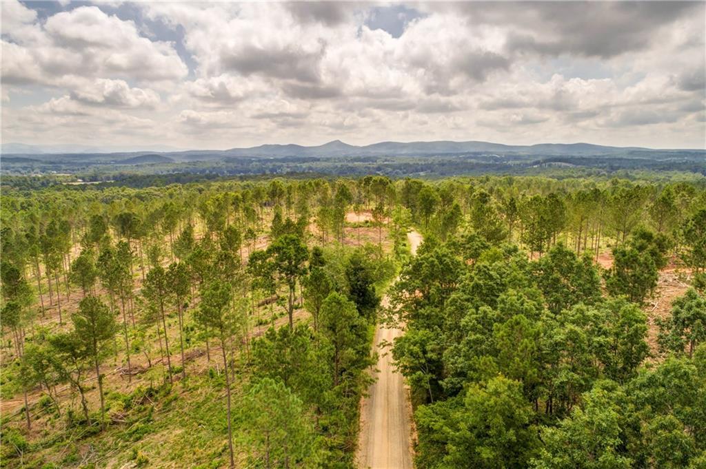 0 Bryant Loop Road - Photo 1
