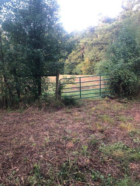 886 Davis Road - Photo 1