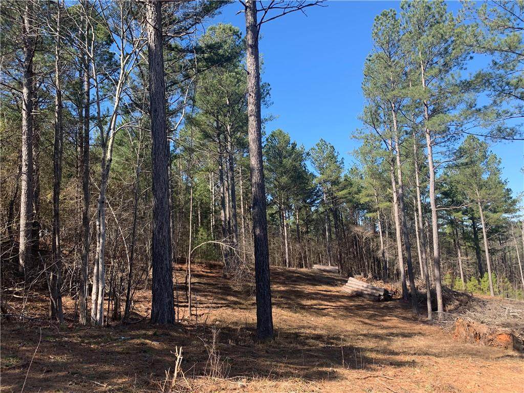 107 Carter Lane - Photo 1 107 Carter Lane - Photo 1