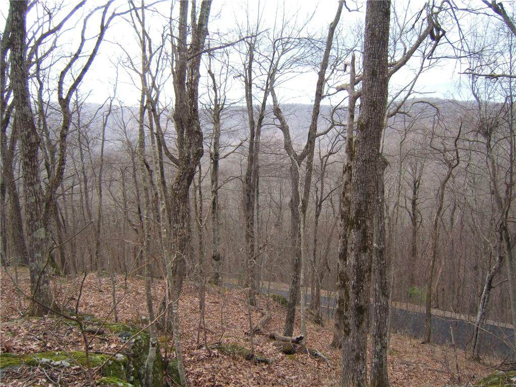 LOT 11 Monument Falls Road - Photo 1