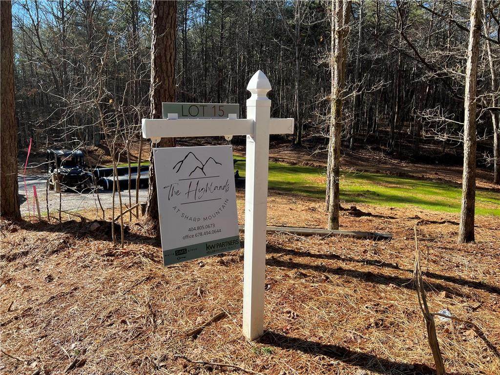 Lot 15 Mineral Springs Road - Photo 1