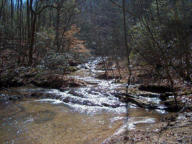 000 Burnt Mountain Rd - Photo 1