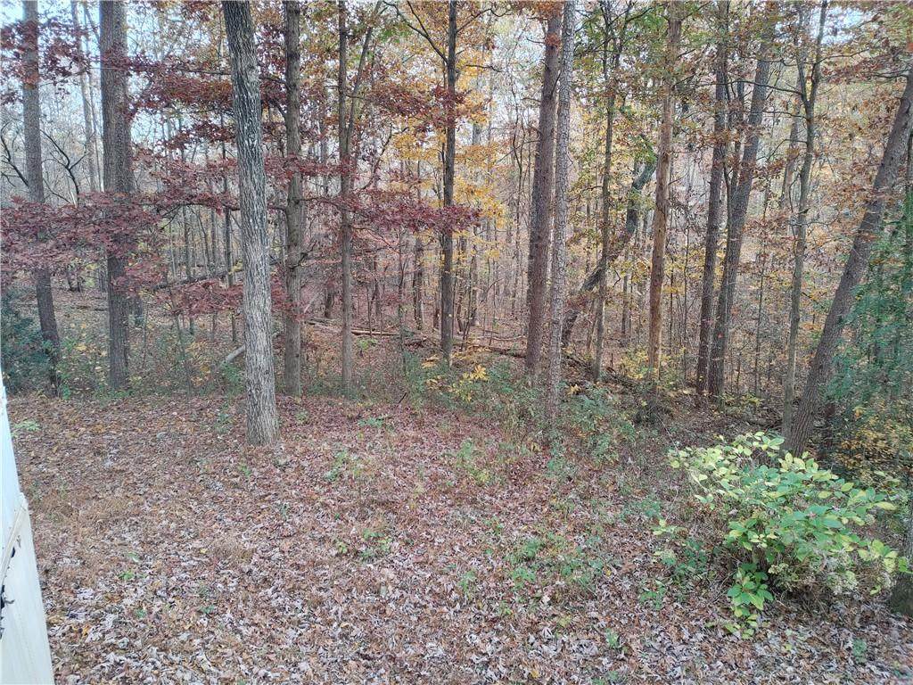 79 Spruce Trail - Photo 1