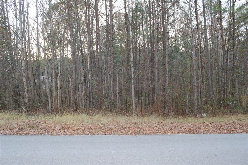 248 Pioneer Trail - Photo 1