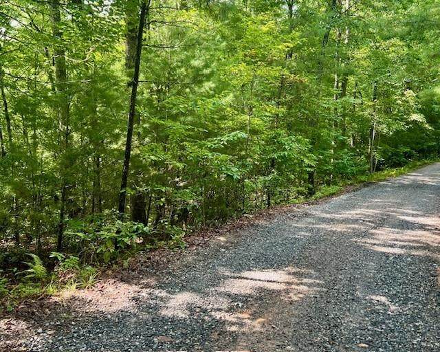 0 Hillbilly Holler - Photo 1