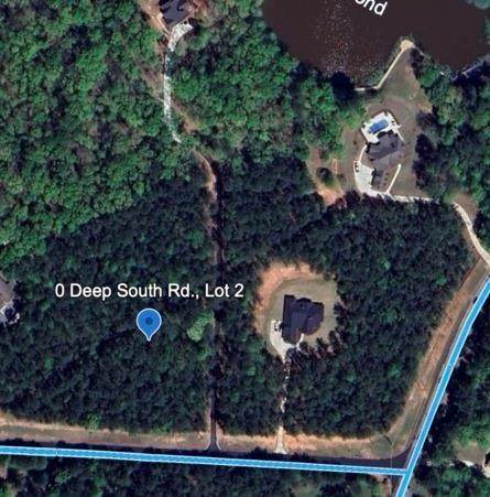0 Deep South Road - Photo 1