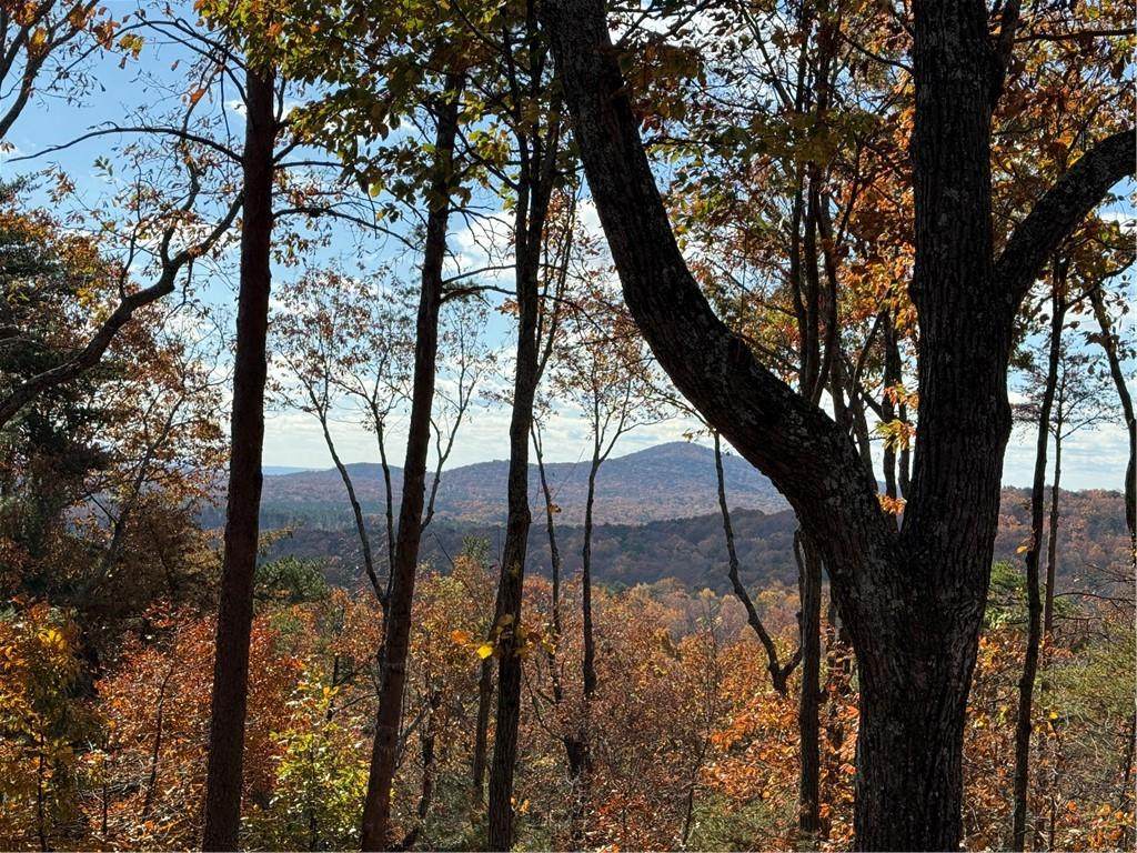 160 Bluestern Drive - Photo 1