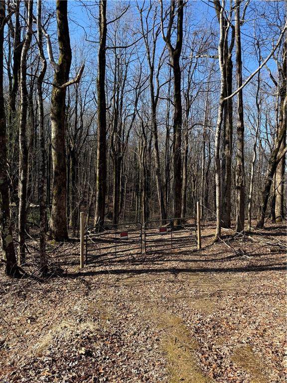 6180 Burnt Mountain Road - Photo 1