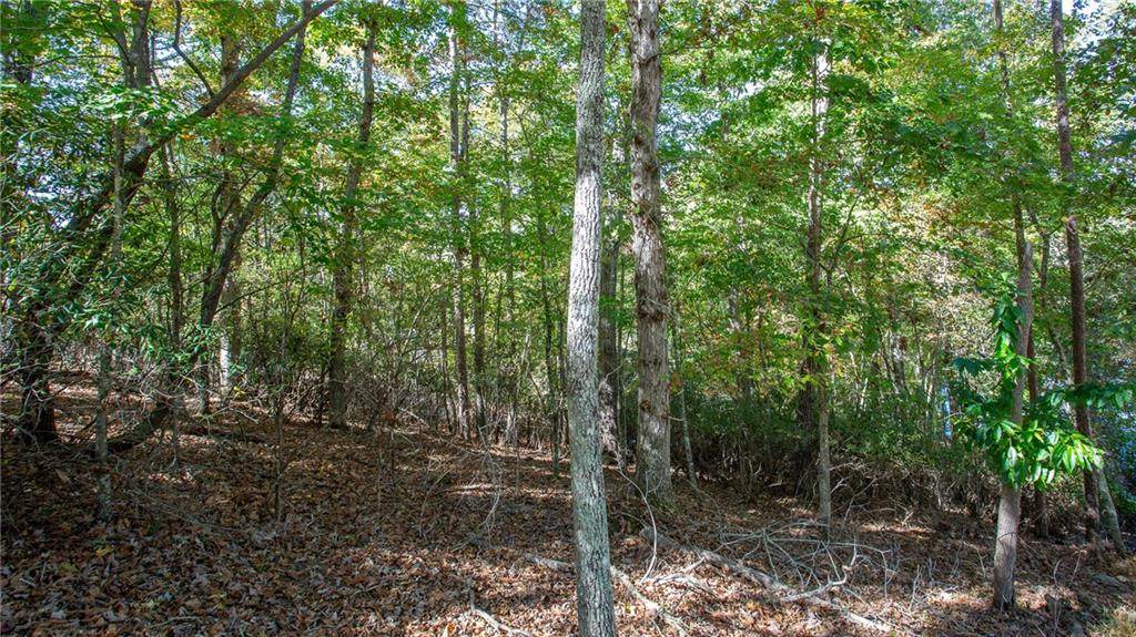 7836 Beachwood Drive - Photo 1