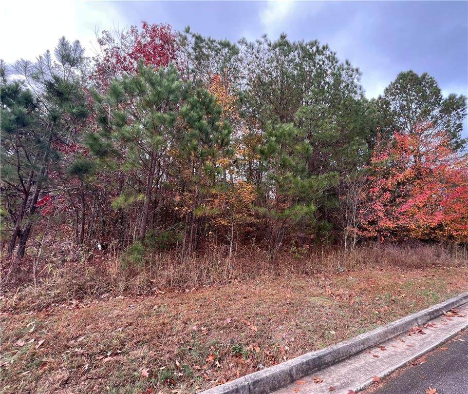 1075 Falkirk Lane - Photo 1