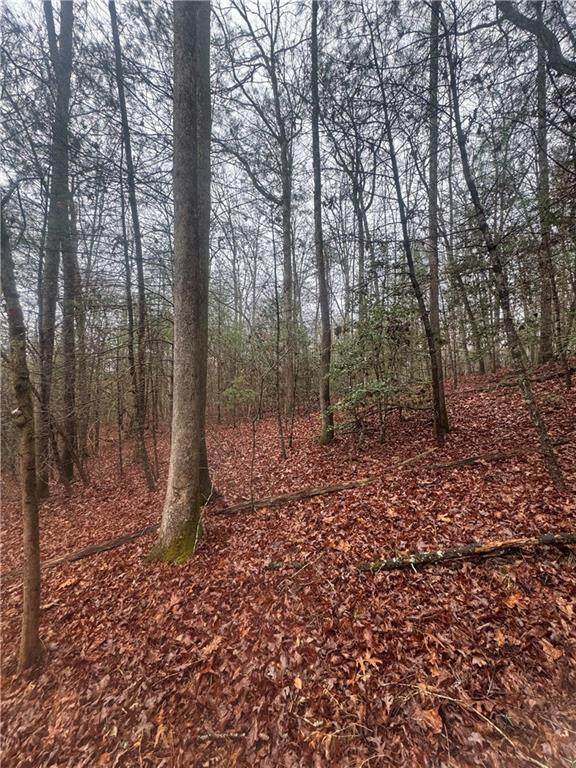 0 W Mountaintown Trail - Photo 1
