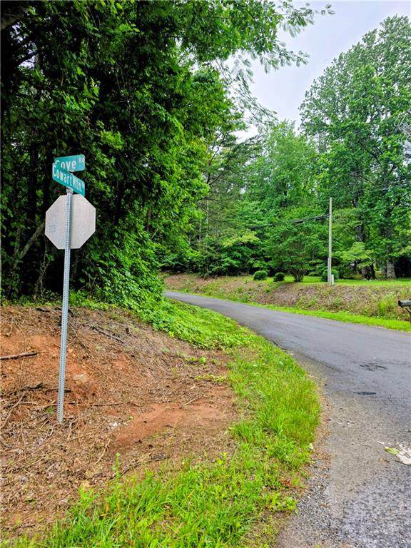 TBD Cowart Mountain Tract 1 Road - Photo 1