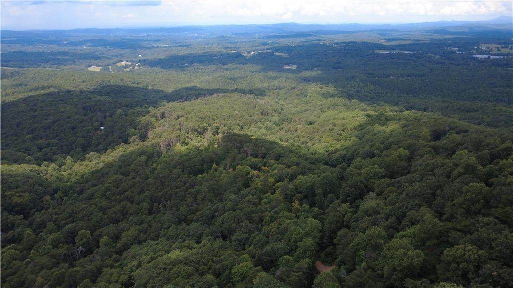 00 Firetower Road - Photo 1