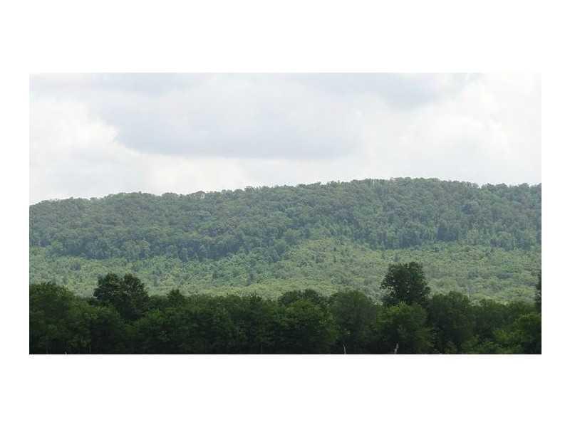 0 Hackett Mill Road - Photo 1