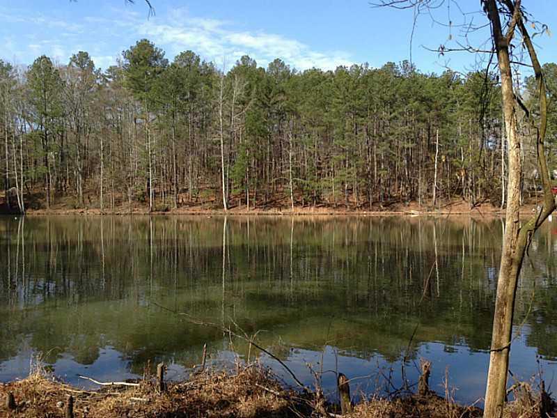 3852 Panola Road - Photo 1