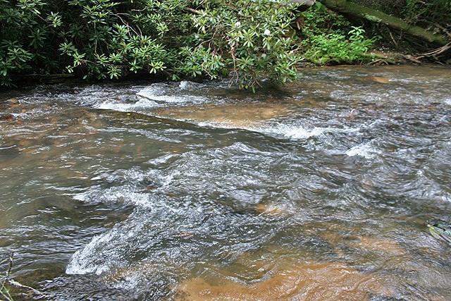 0 Avery Trail - Photo 1