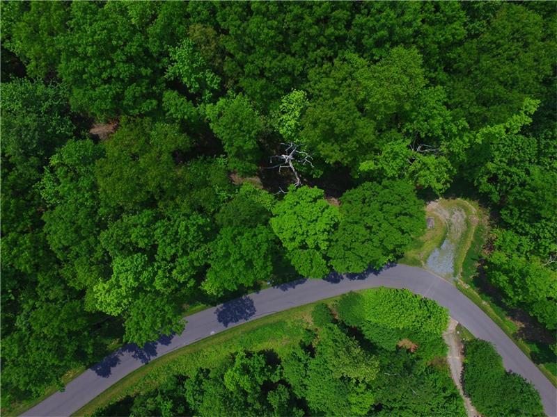 Lot 35 Utana Bluffs Trail - Photo 1