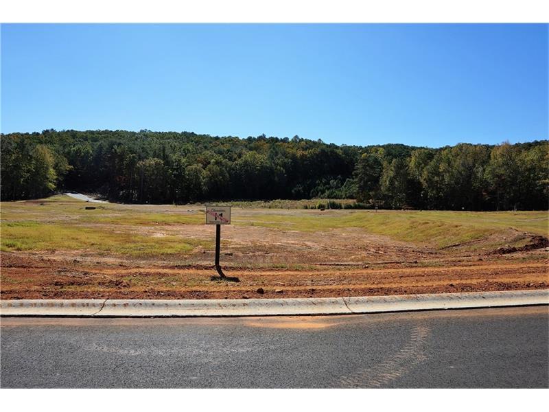 806 Blue Heron Cove, Waleska, GA 30183 (MLS #5666082) :: North Atlanta Home Team
