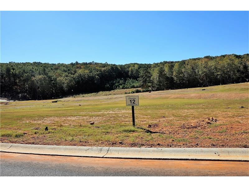 808 Blue Heron Cove - Photo 1