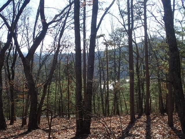 2609 Summit Drive - Photo 1