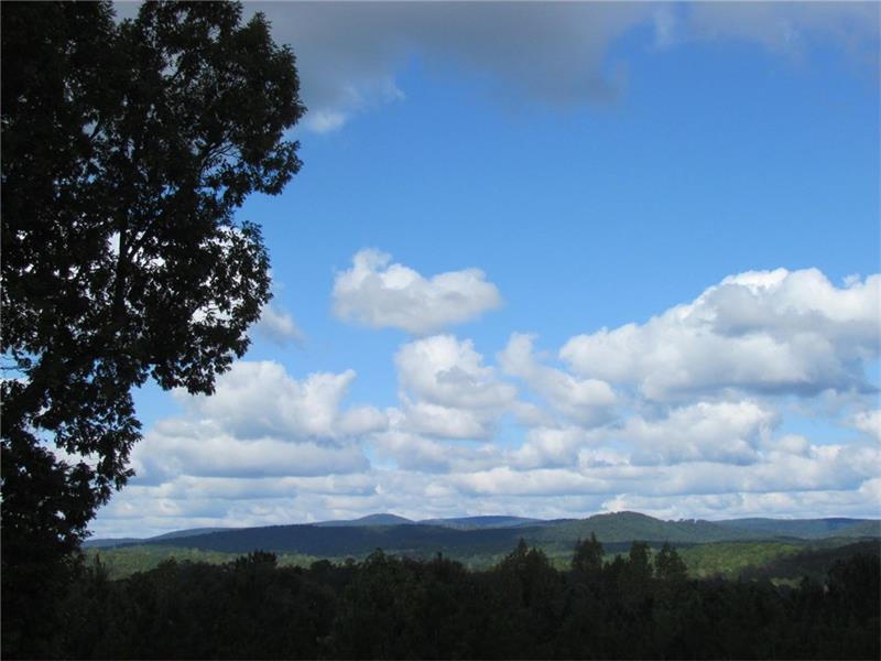 17 Clydesdale Trail - Photo 1
