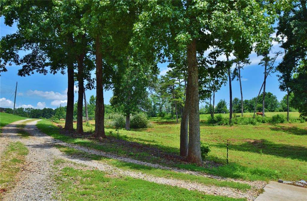 6220 Stowers Road - Photo 1