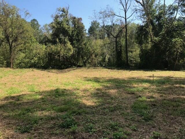 0 Lot 44 Whidby Farm Lane - Photo 1