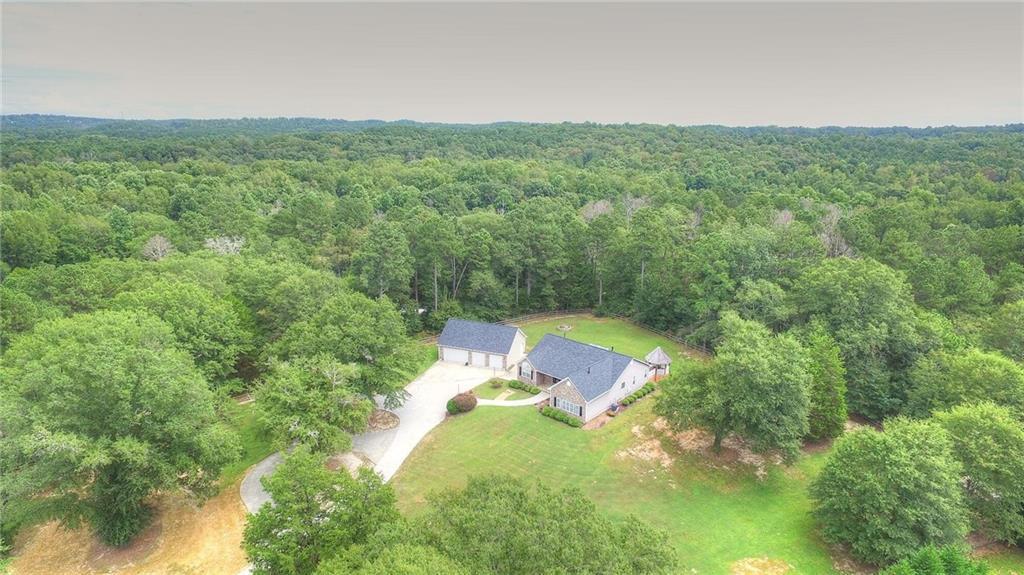 5300 Haynes Creek Drive - Photo 1