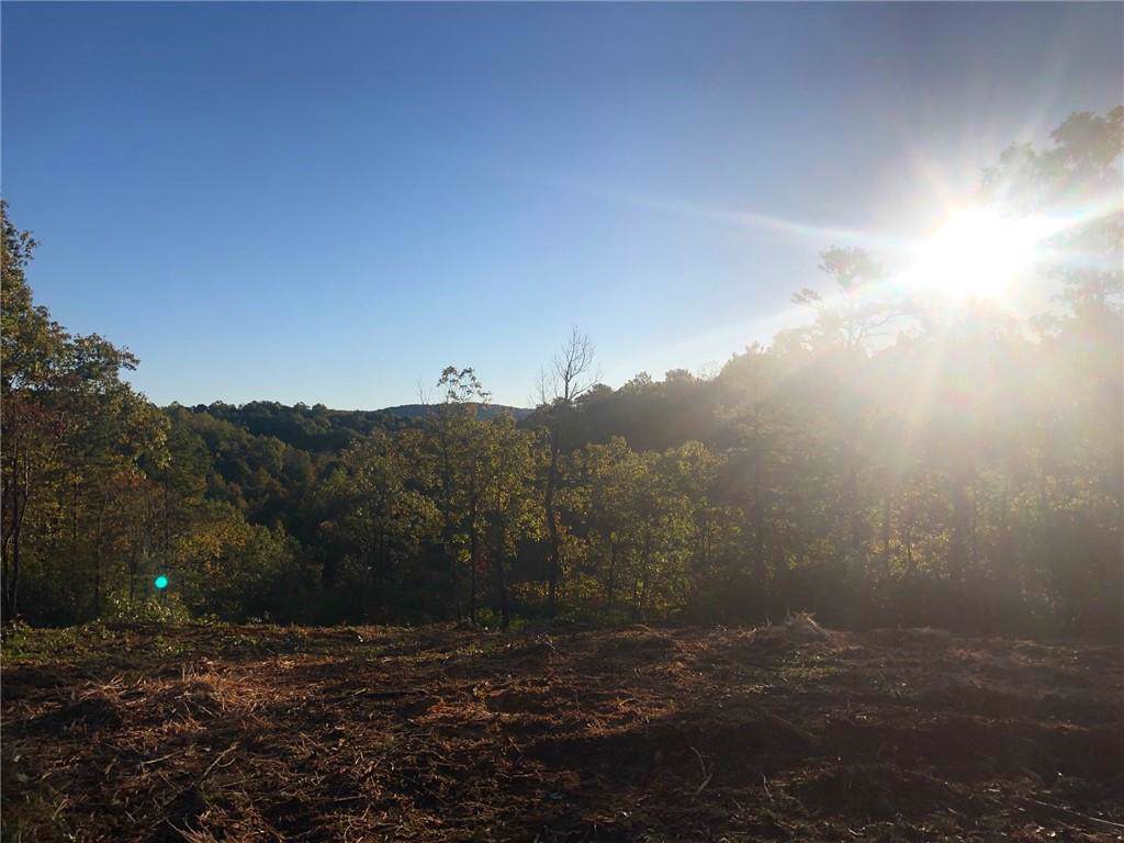 00 Garland Mountain Trail - Photo 1