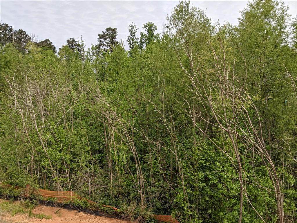 545 Cresentry Brook - Photo 1