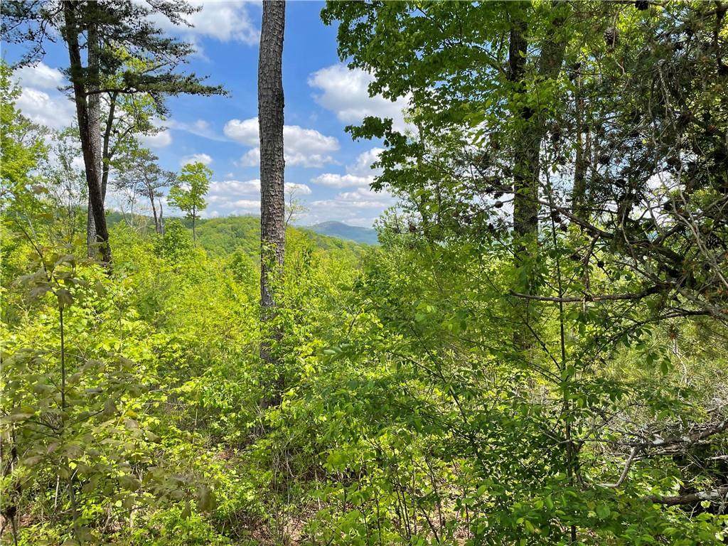 0 Ridgeline Road - Photo 1