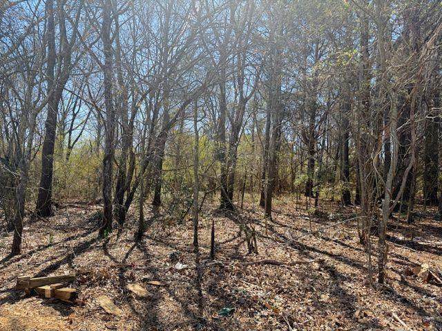 0 Mcdonough Parkway - Photo 1