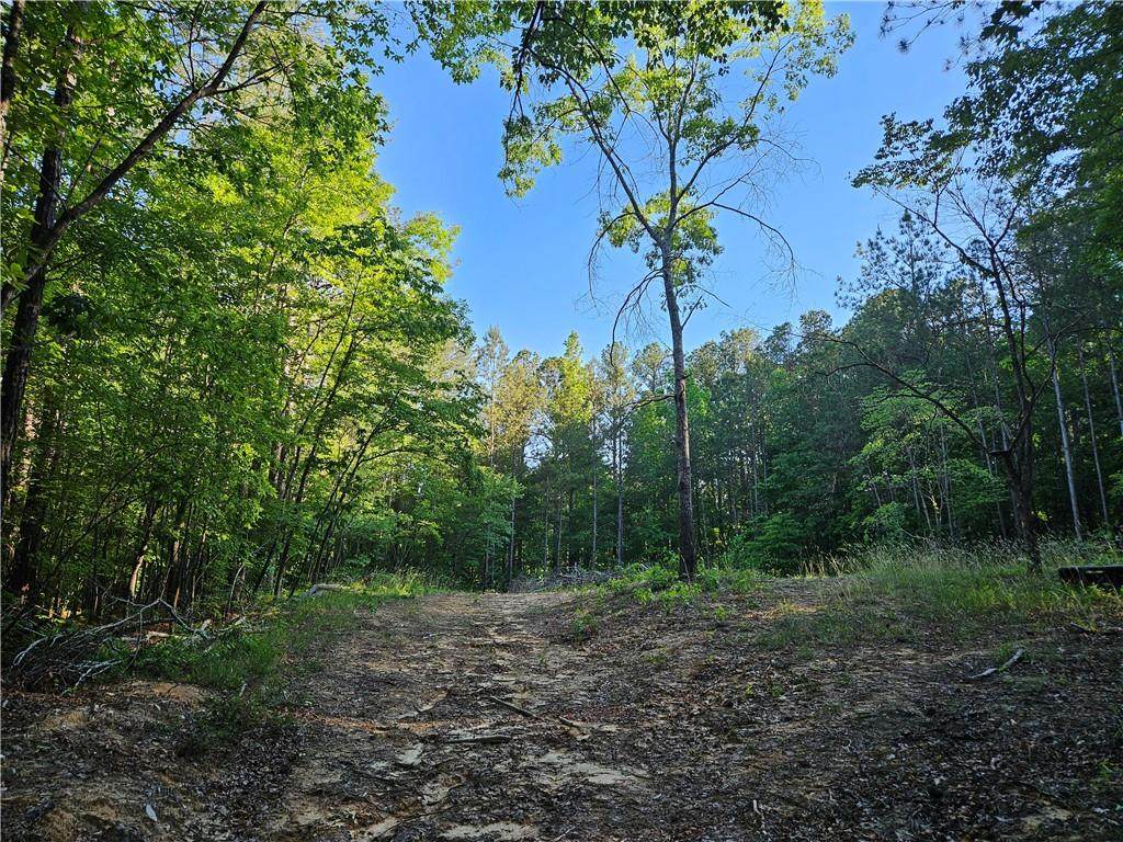 0 Ponderosa Trail - Photo 1
