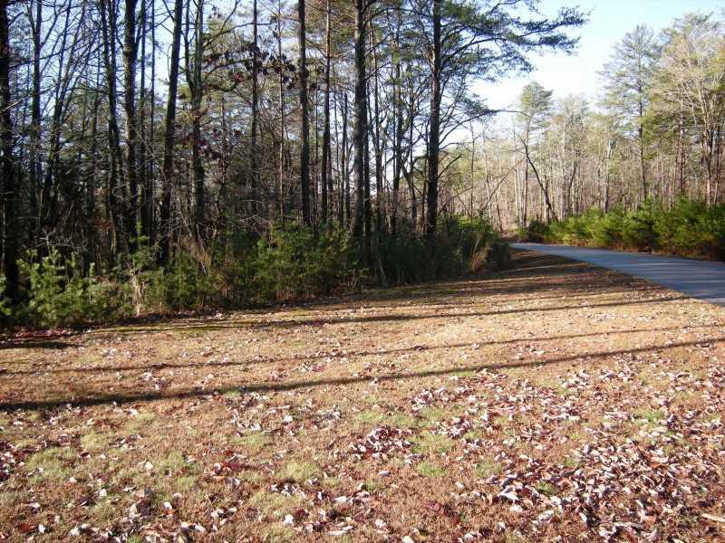 0 Twin Fawns Trail - Photo 1