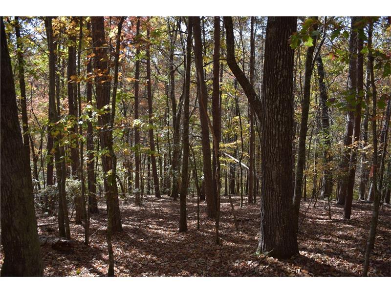 84 Pine Trail - Photo 1