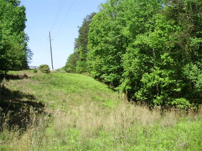 0 Halls Mill Road - Photo 1