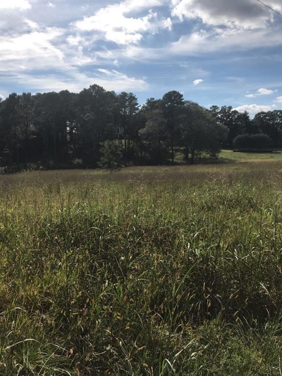 0 Center Hill Church Rd. Tract 4 Road - Photo 1