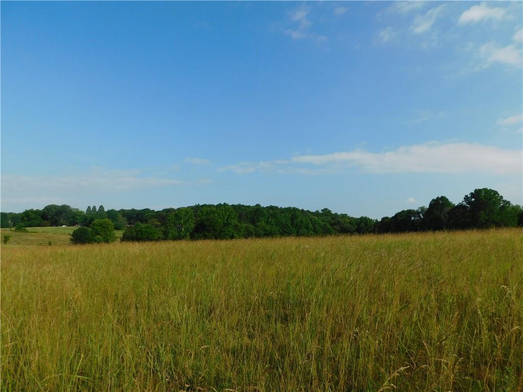 1355 Winndale Road - Photo 1