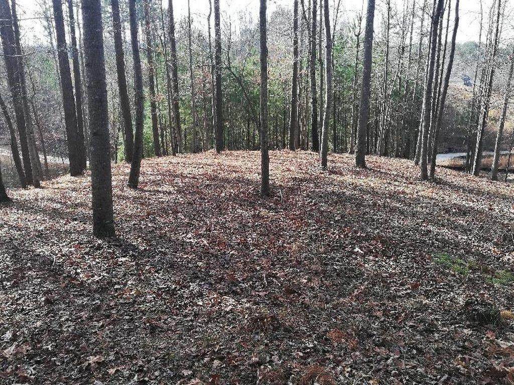 613 Walker Court - Photo 1