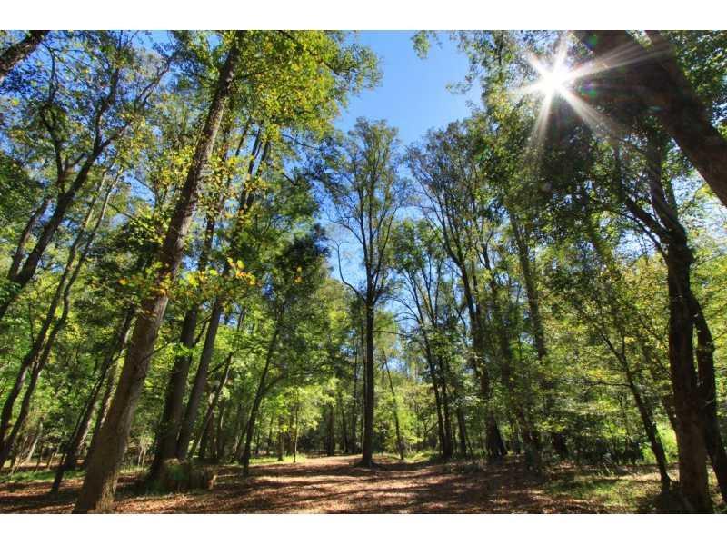 510 Lost River Bend - Photo 1
